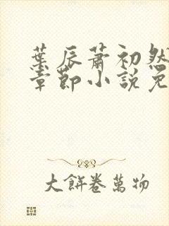 叶辰萧初然最新章节小说免费阅读