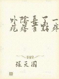 外阴长了一个肉疙瘩有点疼