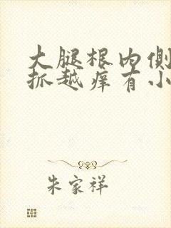 大腿根内侧痒越抓越痒有小疙瘩