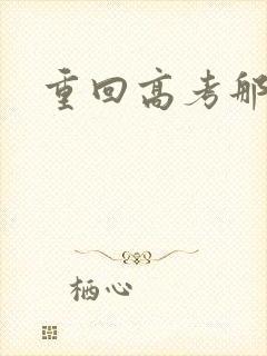 重回高考那一年封面