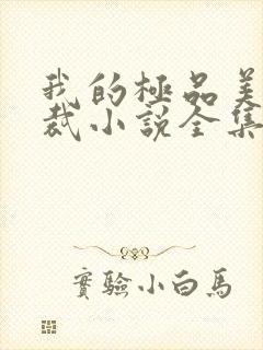 我的极品美女总裁小说全集