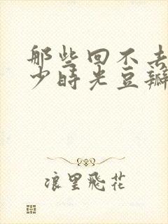 那些回不去的年少时光豆瓣封面