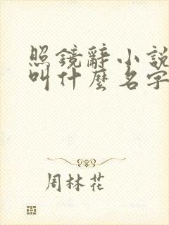 照镜辞小说原著叫什么名字