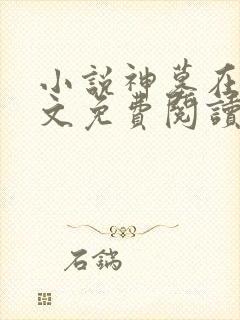 小说神墓在线全文免费阅读封面