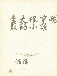 李大根穿越成太监的小说