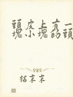 头皮上有一些小块小块的头皮屑