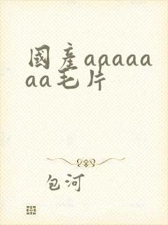 国产aaaaaaa毛片封面