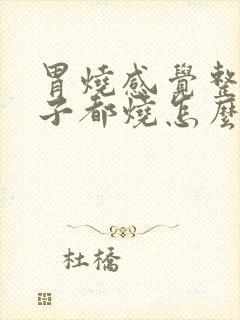 胃烧感觉整个肚子都烧怎么回事