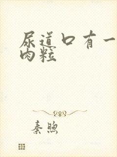 尿道口有一排小肉粒