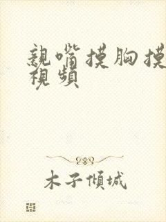 亲嘴摸胸摸下面视频