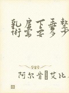 乳房下垂整形手术需要多少钱封面