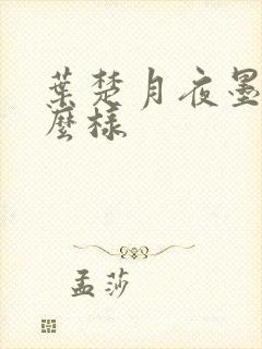叶楚月夜墨寒怎么样封面