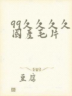 99久久久久久国产毛片封面