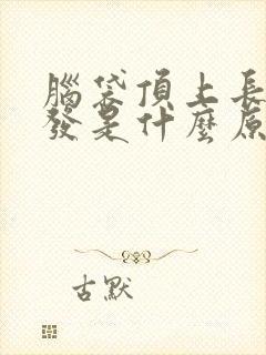 脑袋顶上长白头发是什么原因