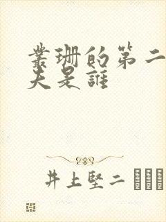 丛珊的第二任丈夫是谁