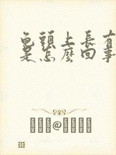 龟头上长有红斑是怎么回事封面