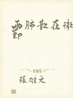 两肺散在微小结节