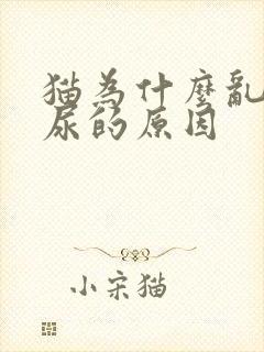 猫为什么乱拉乱尿的原因