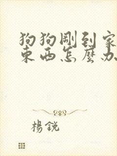 狗狗刚到家不吃东西怎么办封面