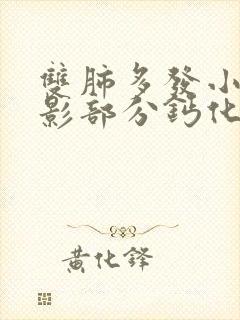 双肺多发小结节影部分钙化