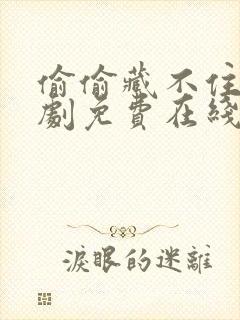 偷偷藏不住电视剧免费在线观看全集