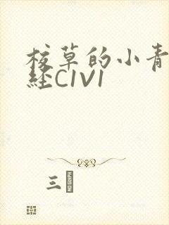 校草的小青梅不经C1V1封面