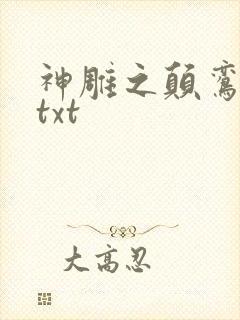 神雕之颠鸾倒凤txt