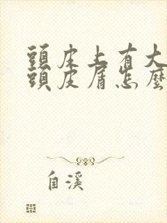 头皮上有大块的头皮屑怎么回事