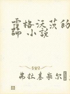 霍格沃茨的灰巫师 小说