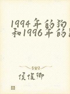 1994年的狗和1996年的鼠婚姻封面