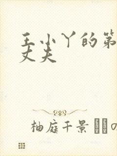 王小丫的第二任丈夫