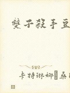 双子杀手豆瓣封面