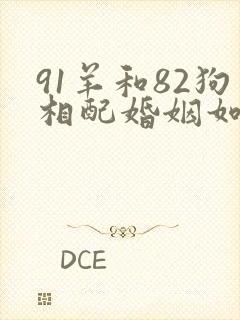 91羊和82狗相配婚姻如何