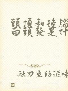 头顶和后脑勺长白头发是什么原因