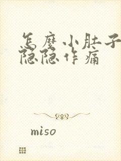 怎么小肚子老是隐隐作痛封面