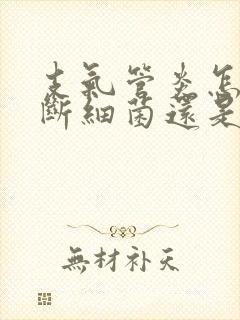 支气管炎怎样判断细菌还是病毒封面