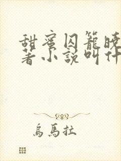 甜蜜囚笼晓诚原著小说叫什么名字