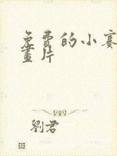 免费的小赛罗动画片封面