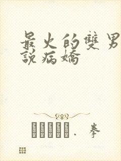 最火的双男主小说病娇