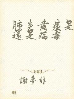 肺炎黄痰是细菌还是病毒