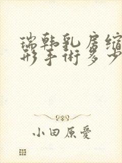 瑞韩乳房缩小整形手术多少钱