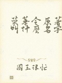 荣华令原著小说叫什么名字来着