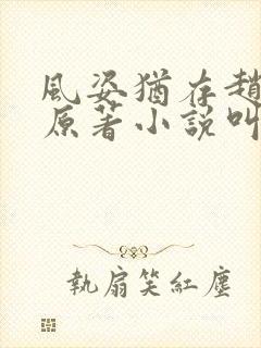 风姿犹存赵小龙原著小说叫什么名字