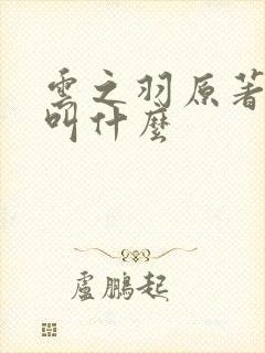 云之羽原著小说叫什么封面