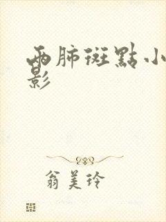 两肺斑点小结节影