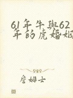 61年牛与62年的虎婚姻好不好封面