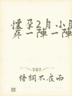 怀孕2月小肚子疼一阵一阵的疼封面