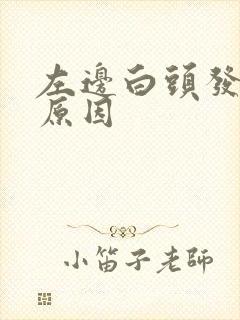 左边白头发多的原因封面