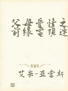 父母爱情之再续前缘电视连续剧封面