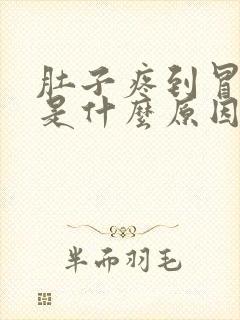 肚子疼到冒冷汗是什么原因封面